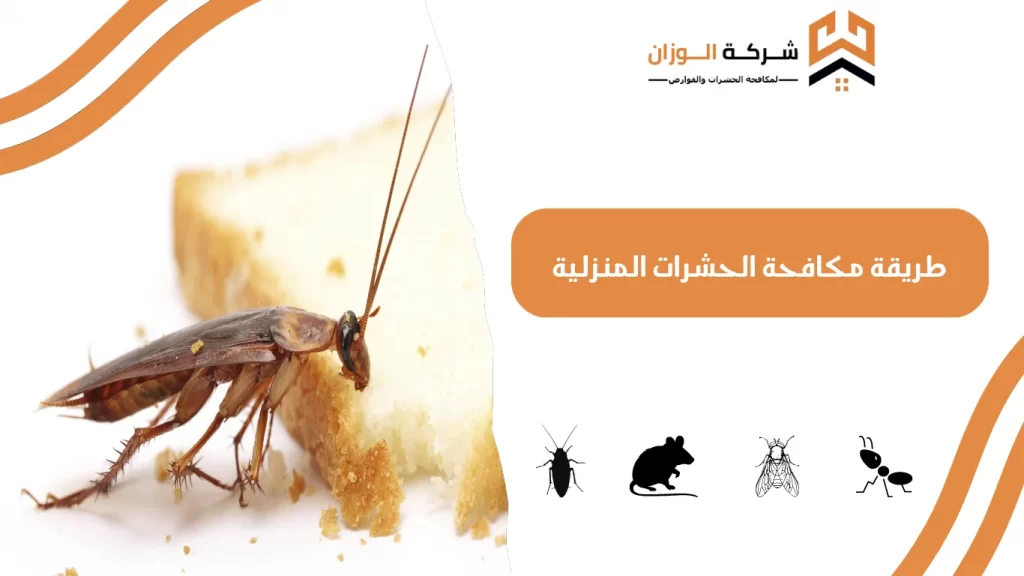 طريقة مكافحة الحشرات المنزلية